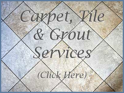 tile and grout cleaning button